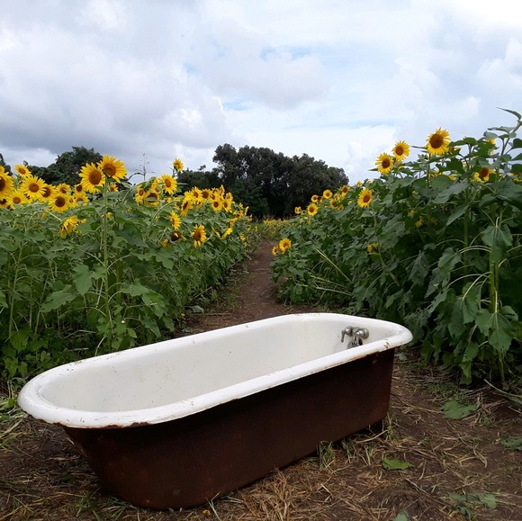 Meet your Posher, Aimee - Picture 1 of 1